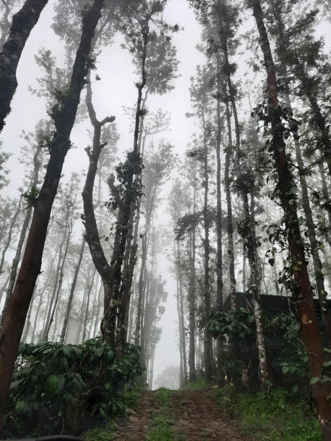 Coorg Happy Estate Stay マディケーリ エクステリア 写真